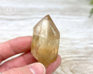 Congo Citrine #10