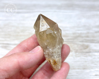 Congo Citrine #10