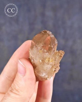 Congo Citrine #20