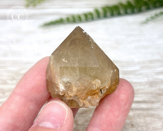 Congo Citrine #19