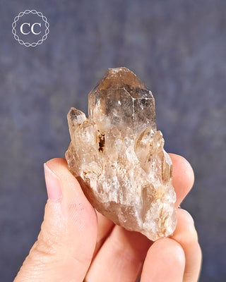 Congo Citrine #20