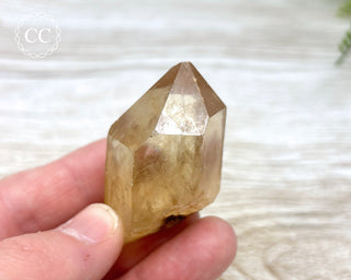 Congo Citrine #10