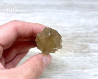Congo Citrine #10