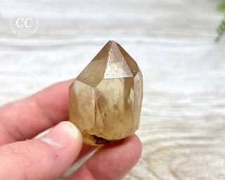Congo Citrine #10