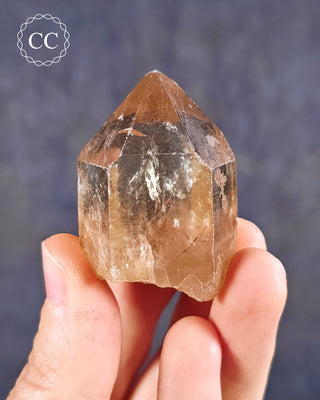 Natural Congo Citrine Crystal in hand