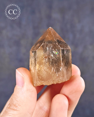 Congo Citrine #21