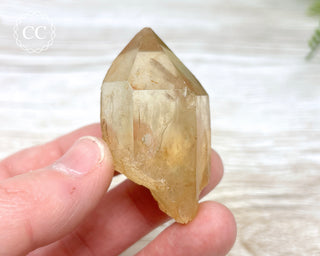 Congo Citrine #10