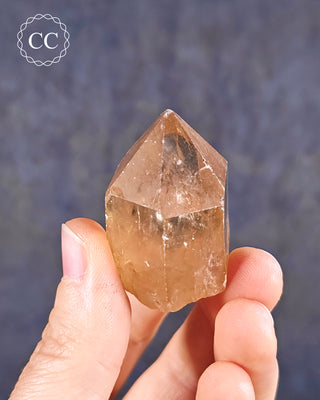 Congo Citrine #21