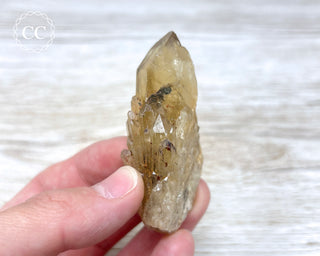 Congo Citrine #11