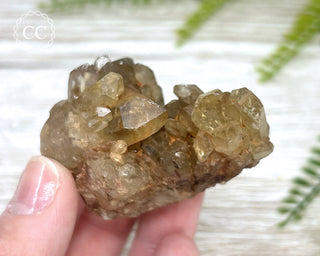 Congo Citrine #4