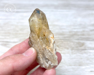 Congo Citrine #11