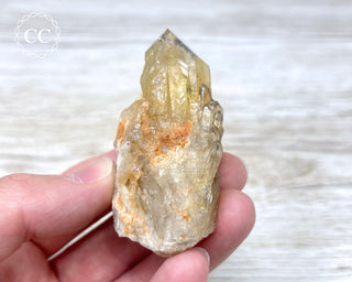 Congo Citrine #11
