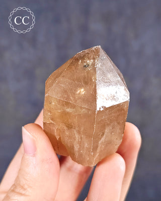 Congo Citrine #22