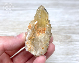 Congo Citrine #11