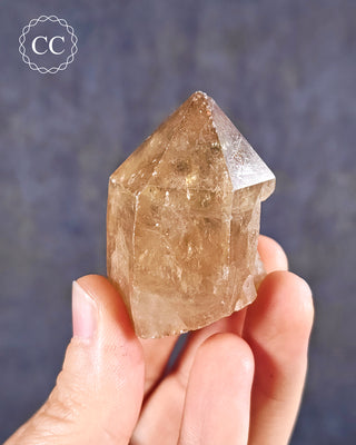Congo Citrine #22