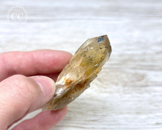Congo Citrine #11