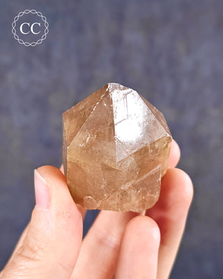 Congo Citrine #22
