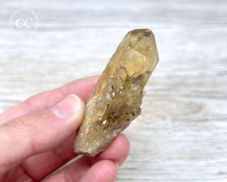 Congo Citrine #11