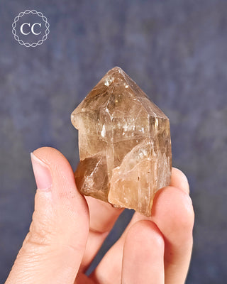Congo Citrine #22
