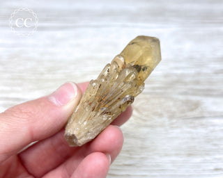 Congo Citrine #11