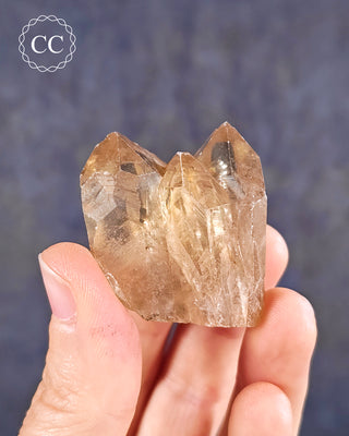 Natural Congo Citrine Crystal in hand