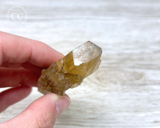 Congo Citrine #11