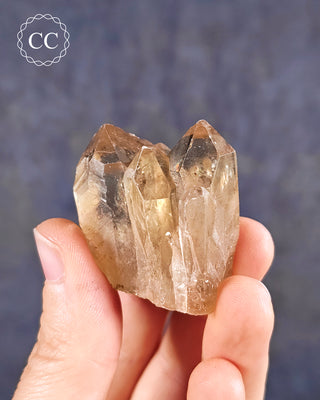 Congo Citrine #23