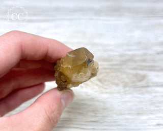 Congo Citrine #11