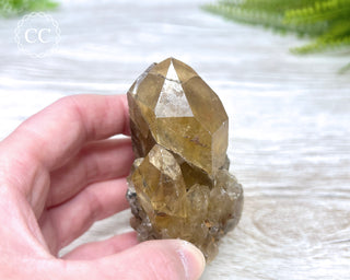 Congo Citrine #3