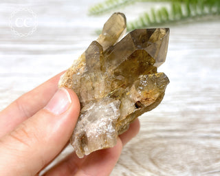 Congo Citrine #6