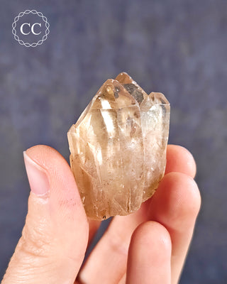 Congo Citrine #23