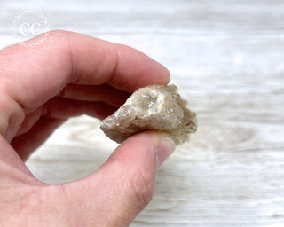 Congo Citrine #11