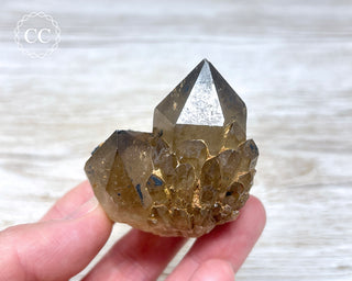 Congo Citrine #12