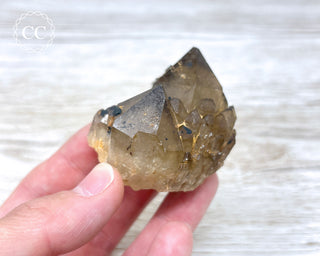 Congo Citrine #12