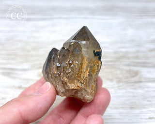 Congo Citrine #12