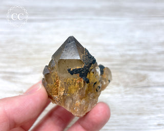 Congo Citrine #12