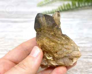 Congo Citrine #6