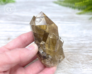 Congo Citrine #3