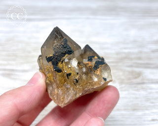 Congo Citrine #12