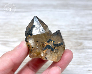 Congo Citrine #12