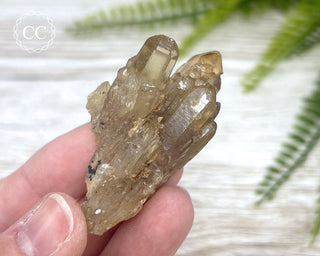 Congo Citrine #12