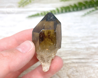 Congo Citrine #22