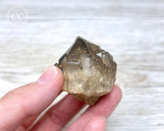 Congo Citrine #12