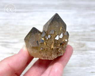 Congo Citrine #12