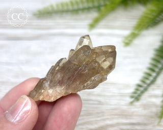 Congo Citrine #12