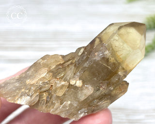 Congo Citrine #16