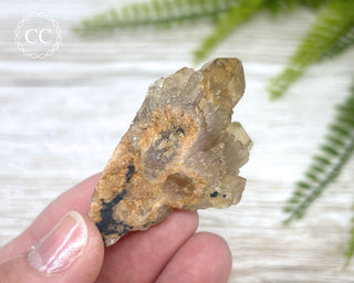 Congo Citrine #12