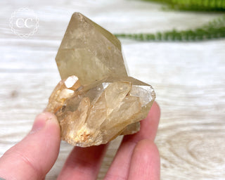 Congo Citrine #15