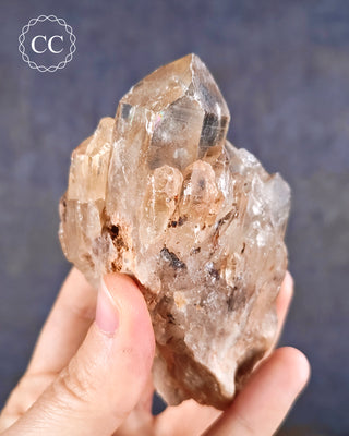 Natural Congo Citrine Crystal in hand