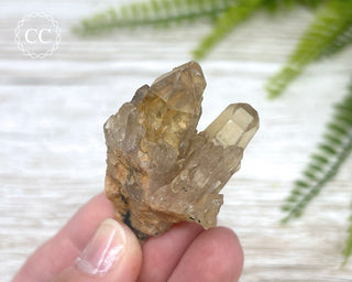 Congo Citrine #12